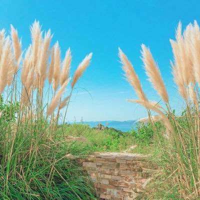 6686体育下载手机版