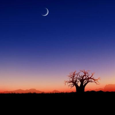 bet官网365app下载1069