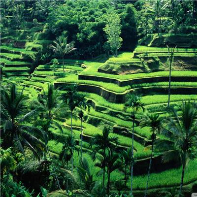 6686体育下载手机版