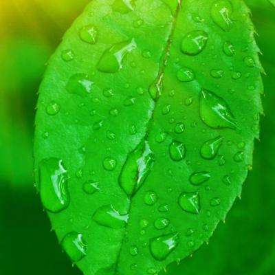 星空体育安卓app下载