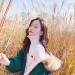 乐天堂点评指导